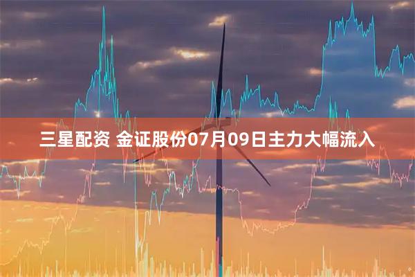 三星配资 金证股份07月09日主力大幅流入
